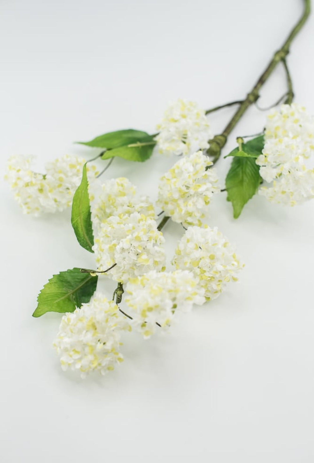 Snowball hydrangea spray - white - Greenery Market2268-w