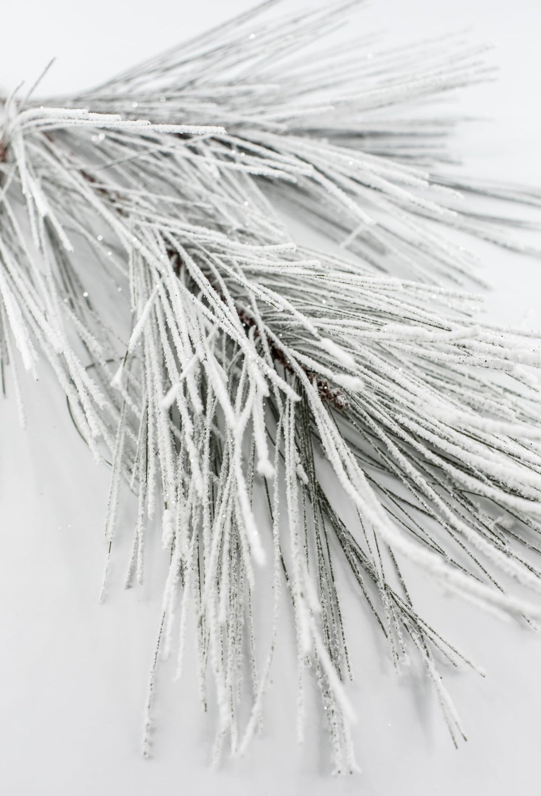 Snowed Long Needle Pine Spray - 28" - Greenery MarketXAS283-GR/SN