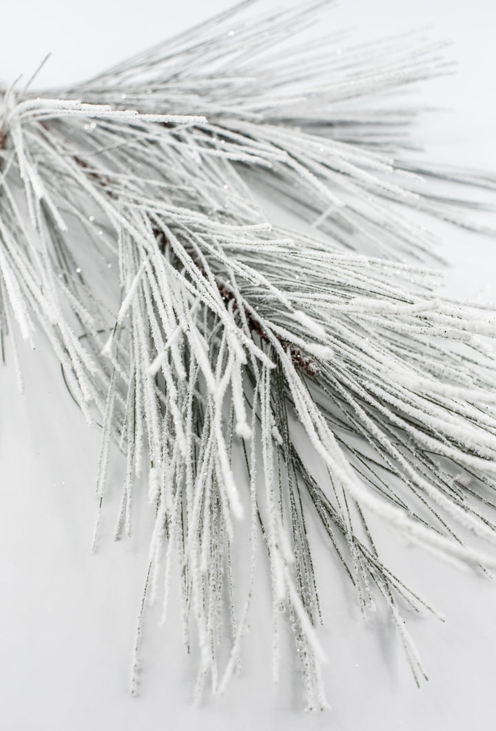 Snowed Long Needle Pine Spray - 28" - Greenery MarketXAS283-GR/SN