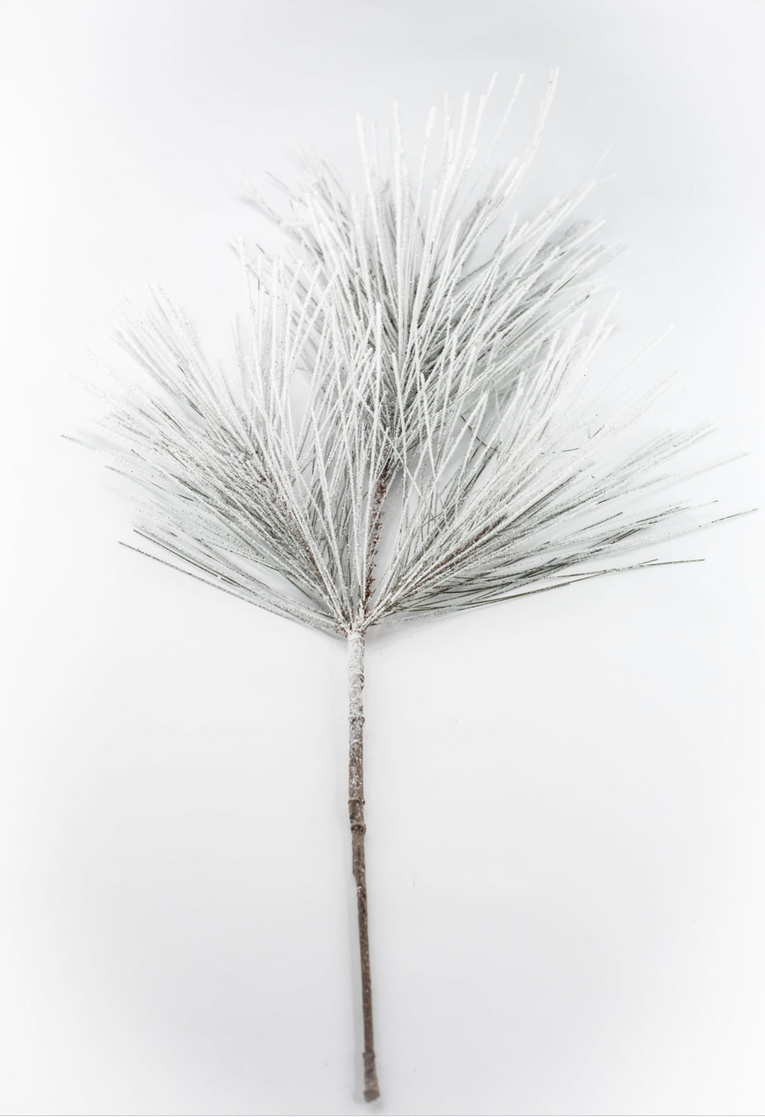 Snowed Long Needle Pine Spray - 28" - Greenery MarketXAS283-GR/SN