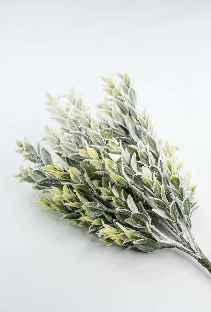 Snowed Tea Leaf Bush - Greenery Market85286