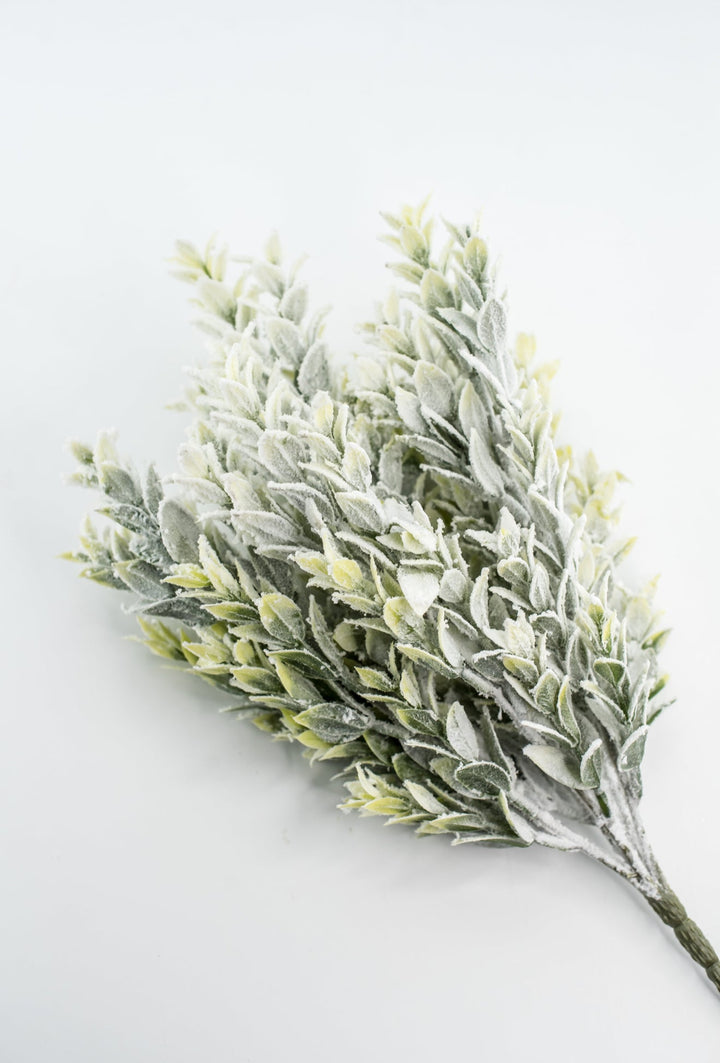 Snowed Tea Leaf Bush - Greenery Market85286
