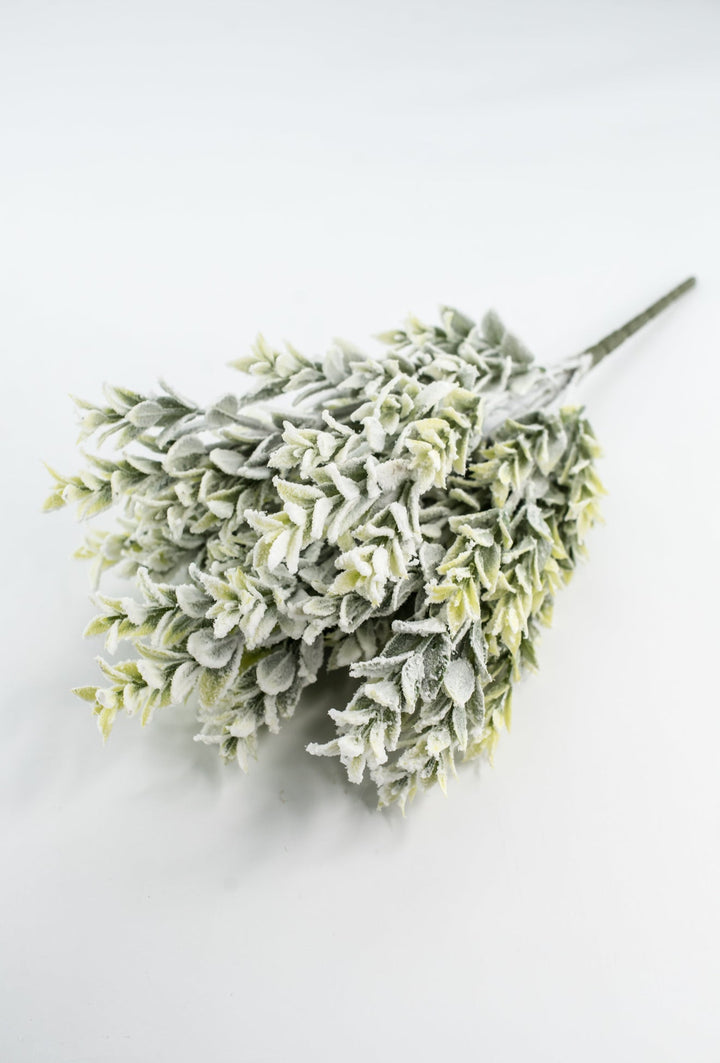 Snowed Tea Leaf Bush - Greenery Market85286