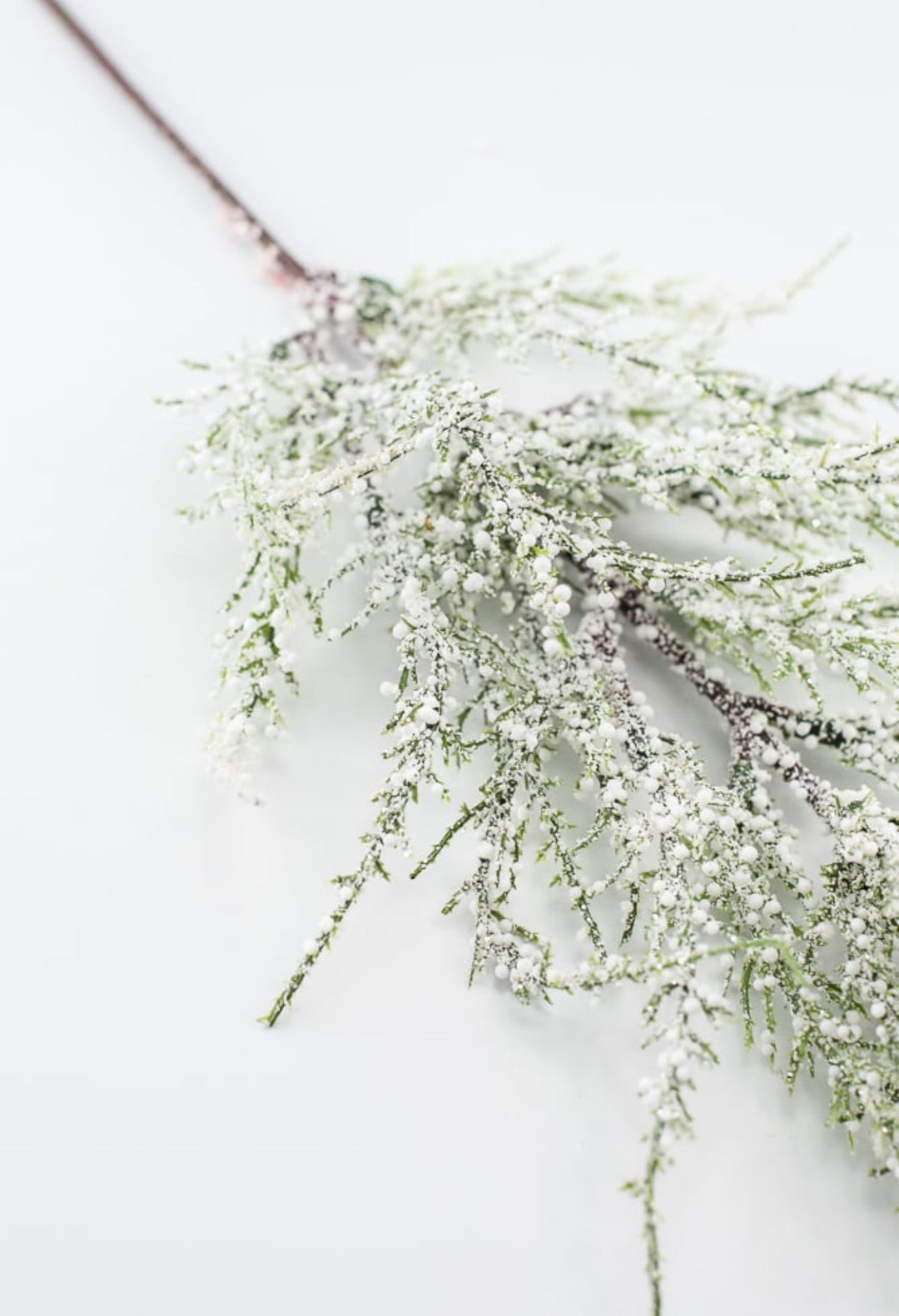 Snowy bubble cedar spray - 25” - Greenery MarketgreeneryXS6838