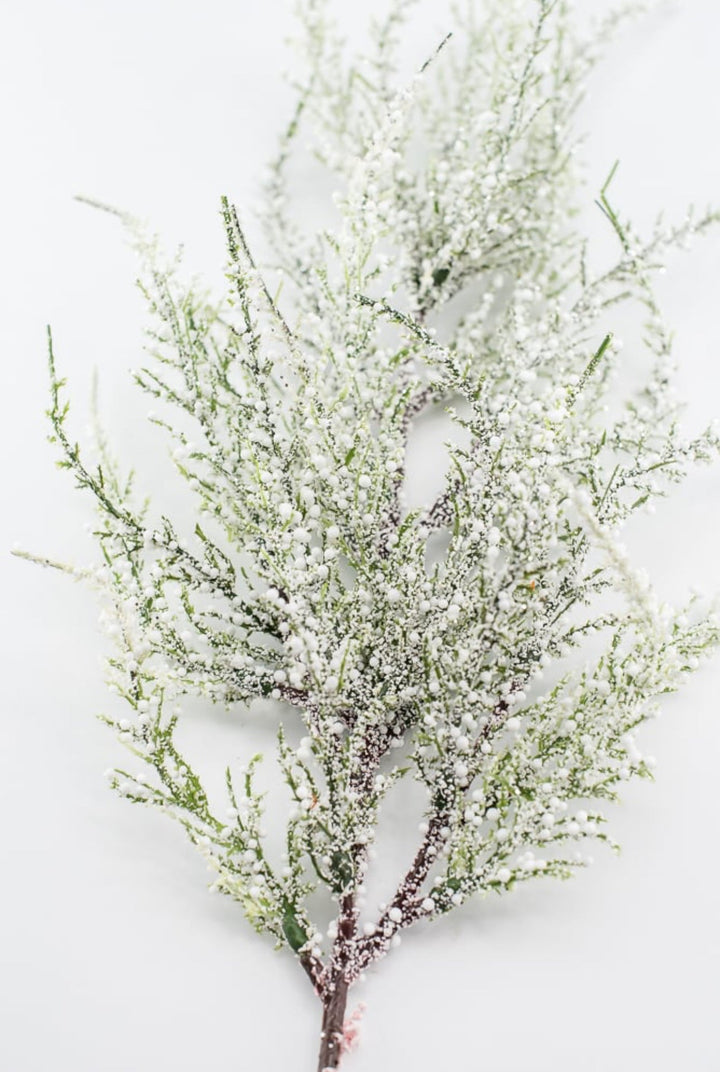 Snowy bubble cedar spray - 25” - Greenery MarketgreeneryXS6838