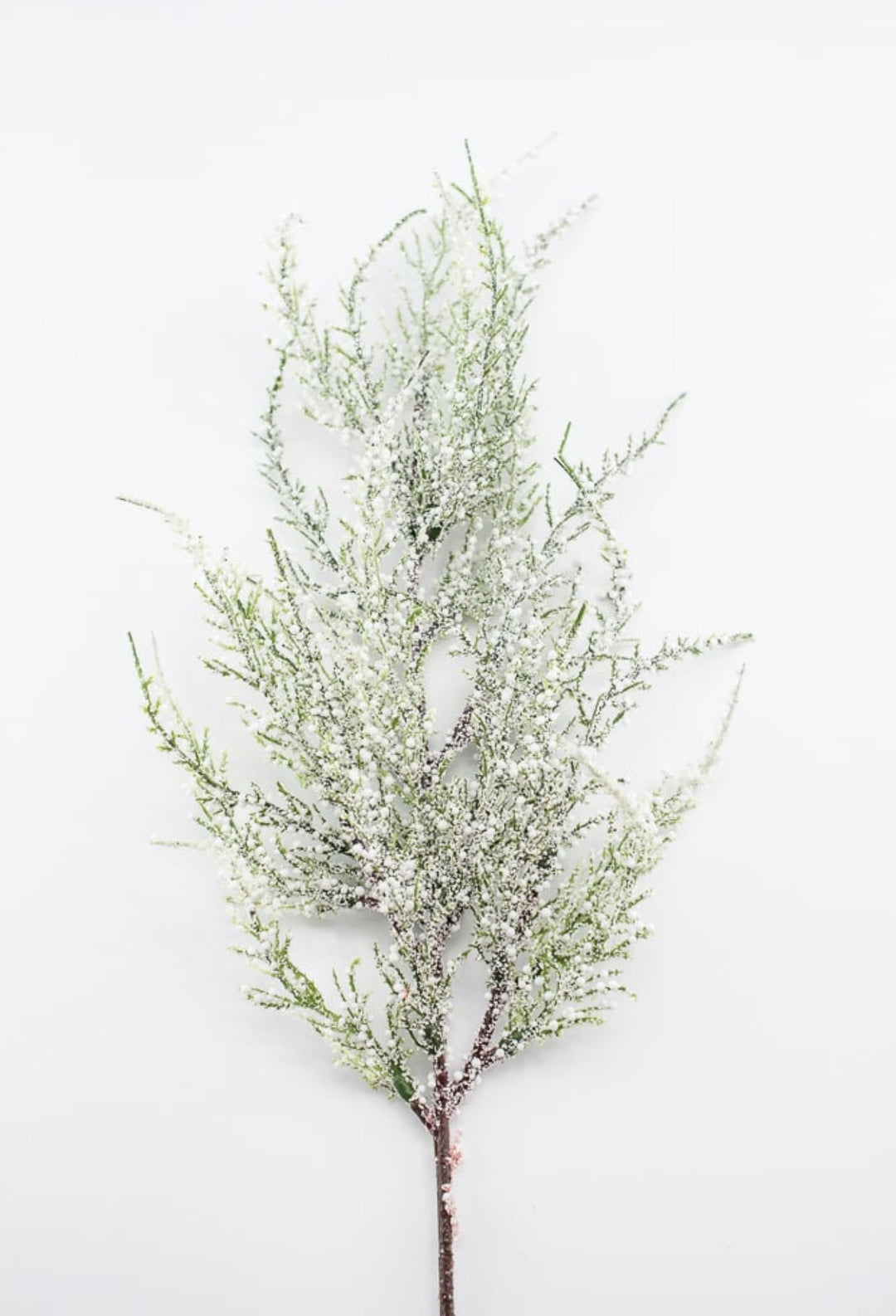 Snowy bubble cedar spray - 25” - Greenery MarketgreeneryXS6838