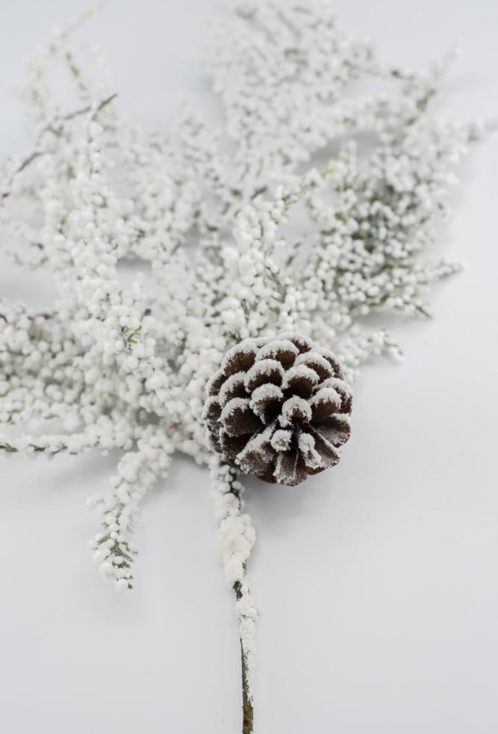 Snowy bubble with cone and twig spray - BEST SELLER - Greenery MarketgreeneryXS575