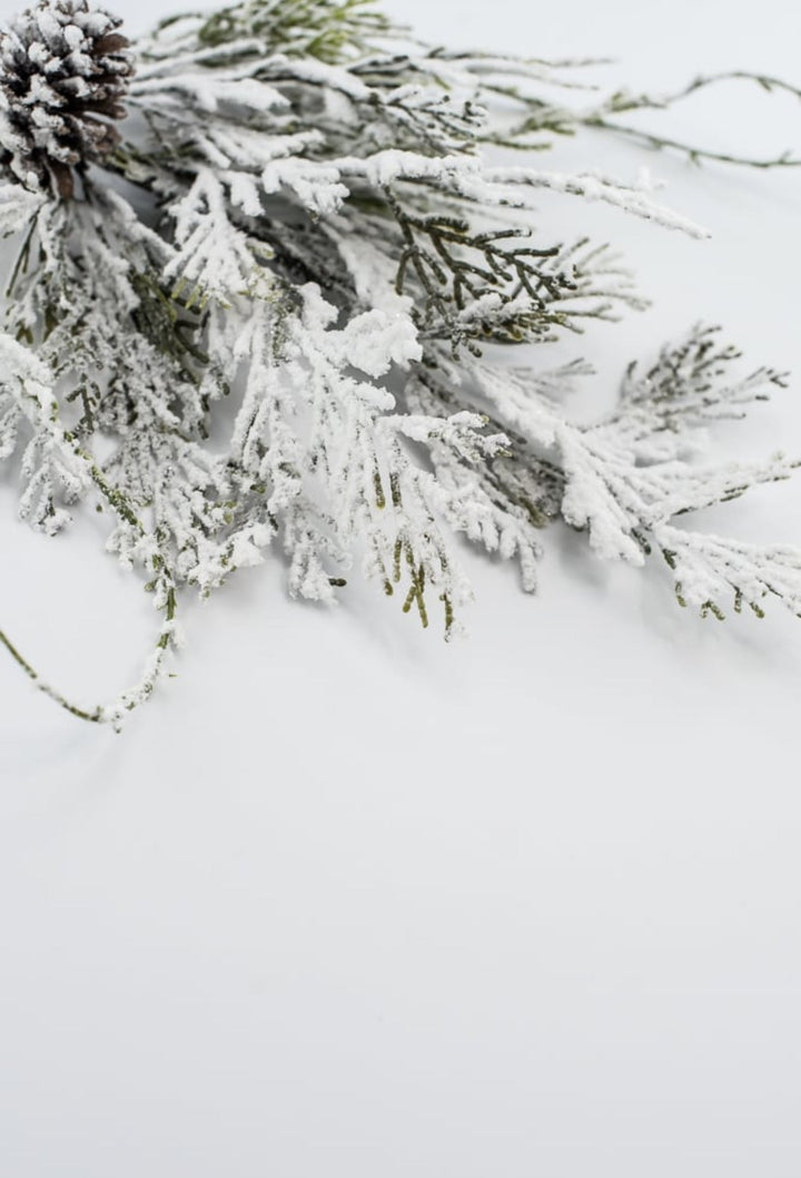 Snowy cedar and pine cone pick - Greenery MarketArtificial Flora82885