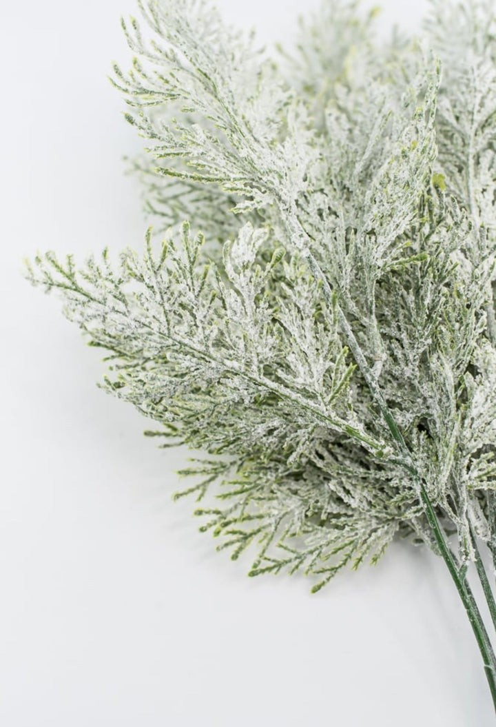 Snowy flocked cypress bush - Greenery Market83611