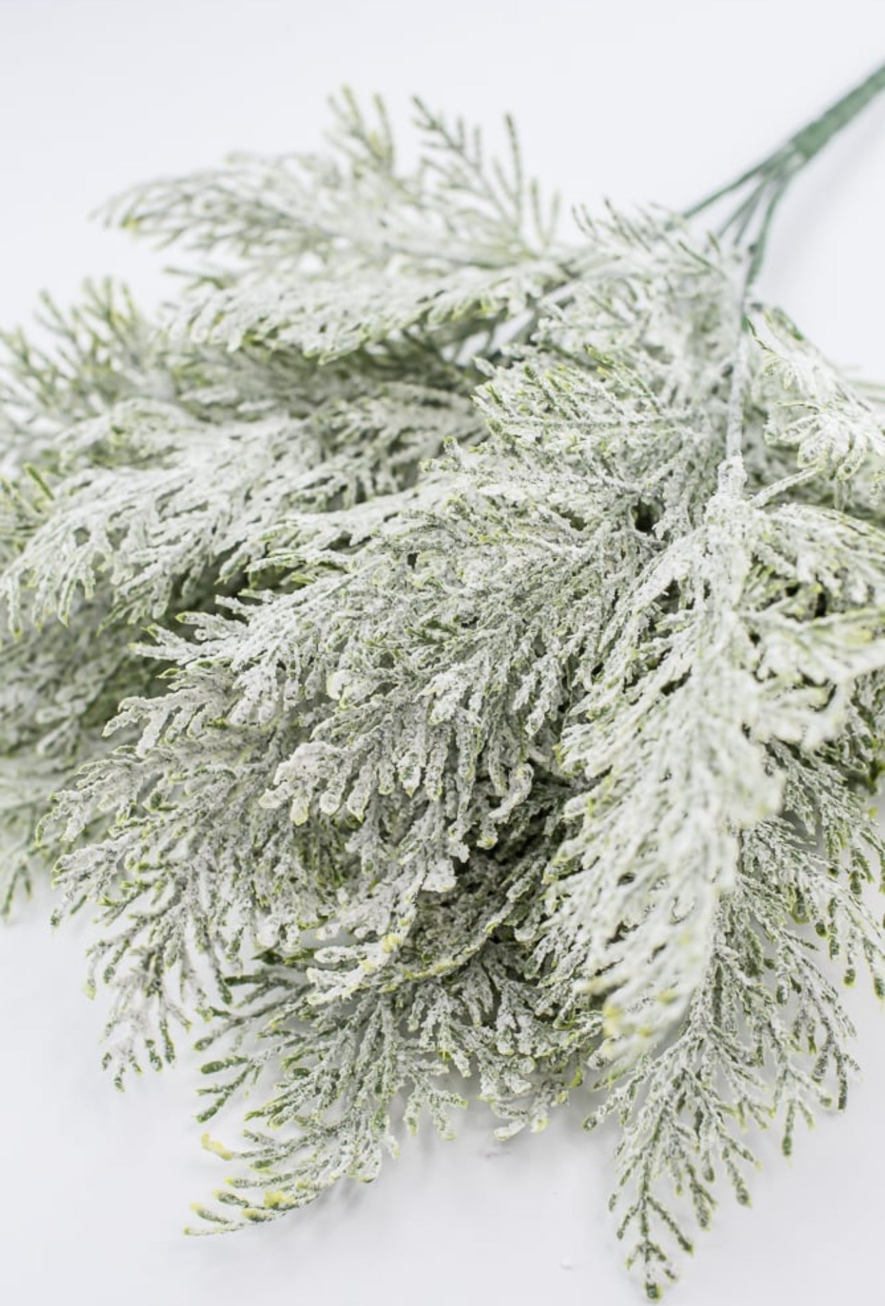 Snowy flocked cypress bush - Greenery Market