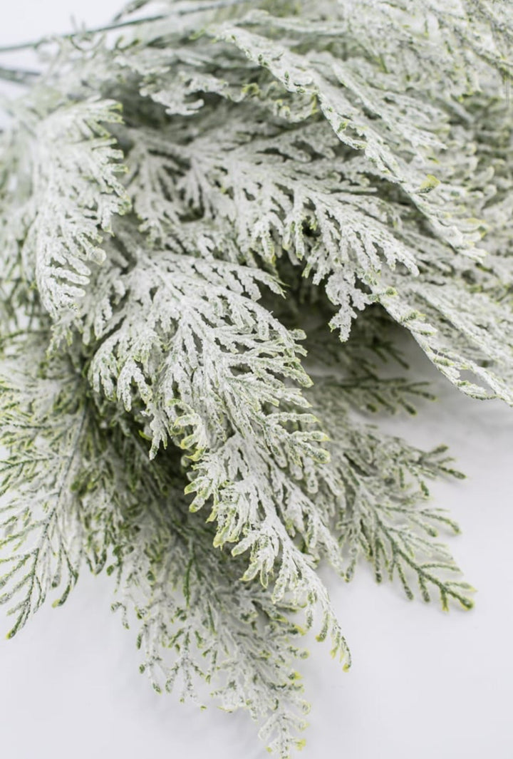 Snowy flocked cypress bush - Greenery Market83611