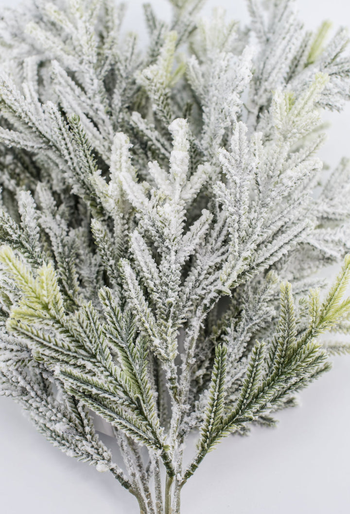 Snowy flocked cypress bush - Greenery Market83659