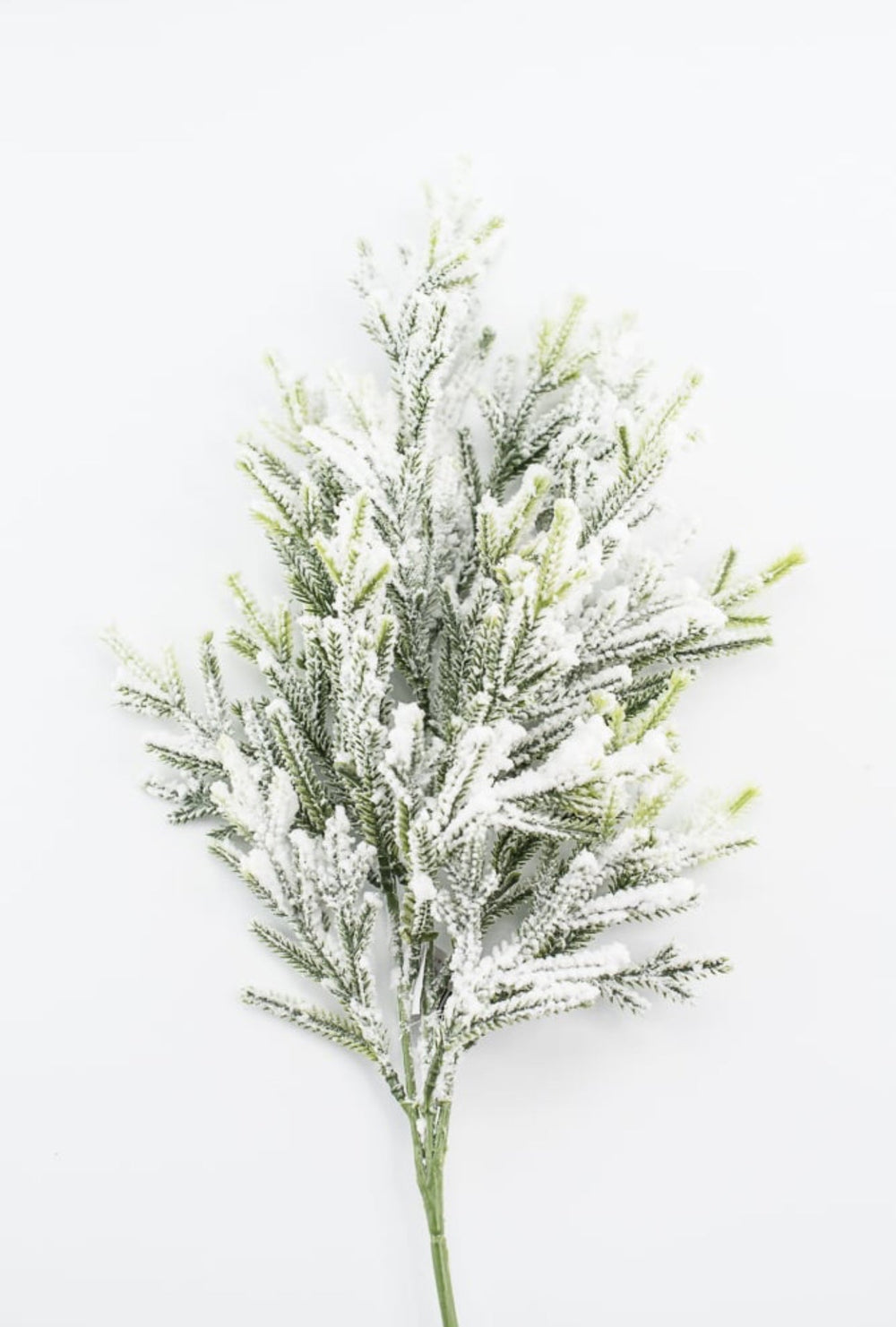 Snowy flocked cypress spray - Greenery Market83660