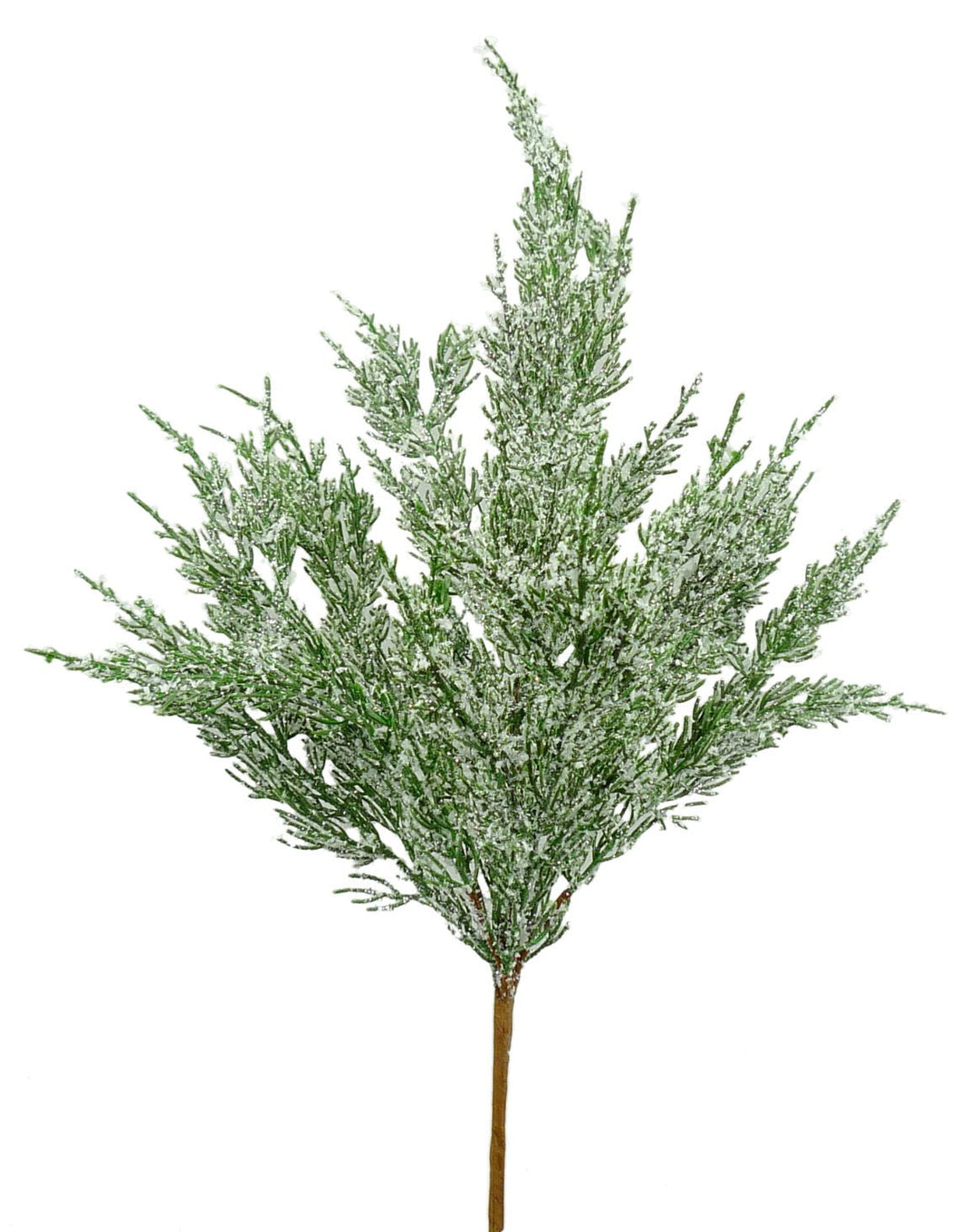 Snowy iced cedar bush - Greenery Marketgreenery84923snow