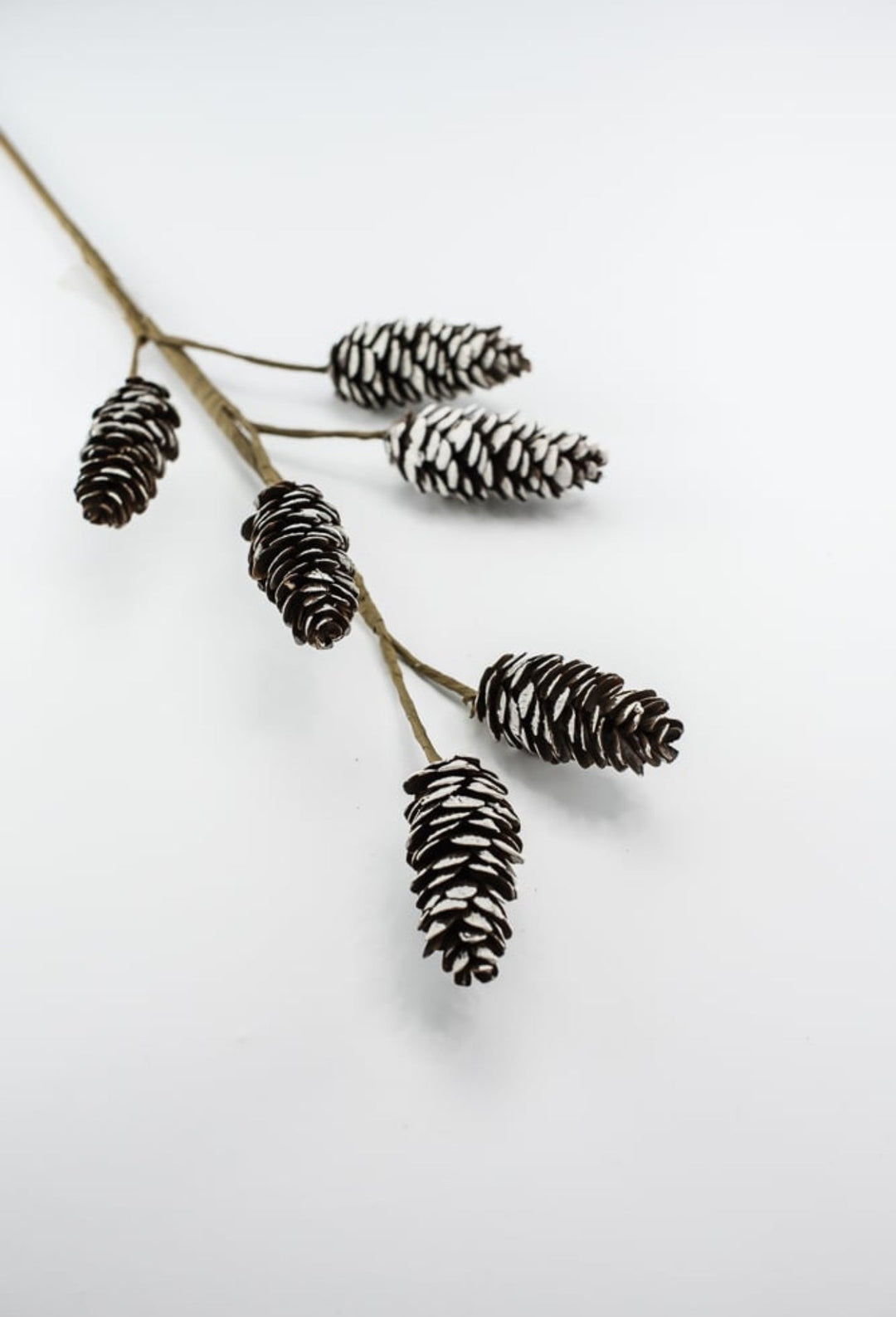 Snowy Pinecone spray - Greenery MarketSeasonal & Holiday Decorations173362