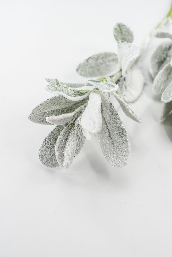 Snowy winter Lambs ear - Greenery Marketgreeneryxs548