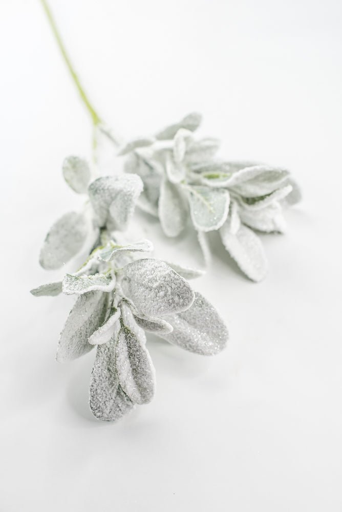 Snowy winter Lambs ear - Greenery Marketgreeneryxs548