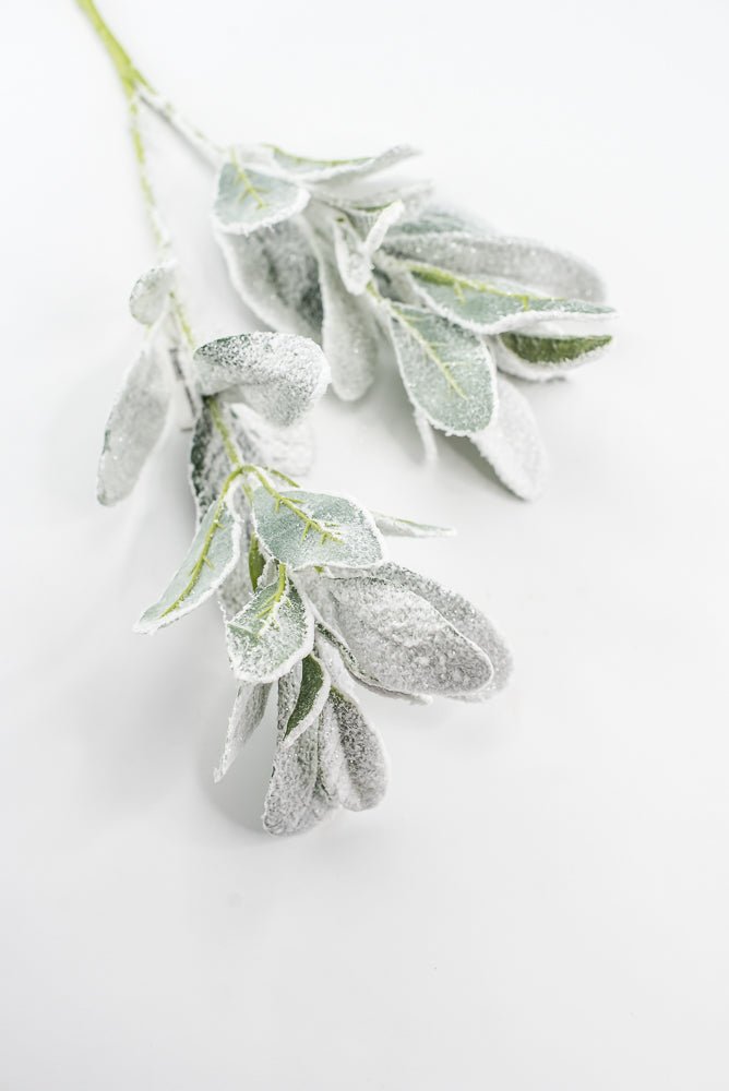 Snowy winter Lambs ear - Greenery Marketgreeneryxs548