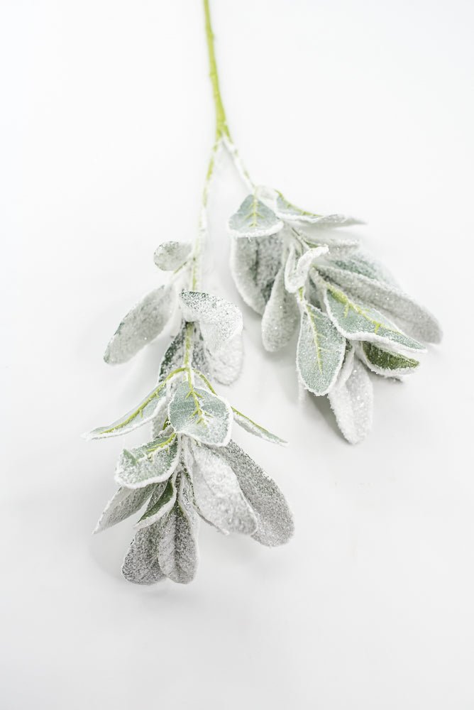 Snowy winter Lambs ear - Greenery Marketgreeneryxs548
