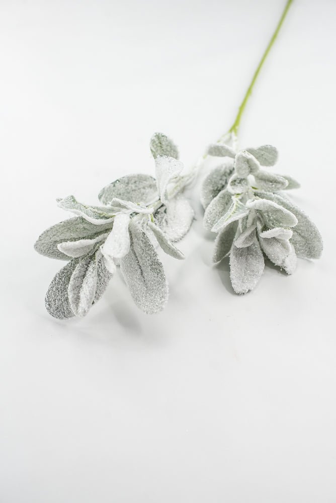 Snowy winter Lambs ear - Greenery Marketgreeneryxs548