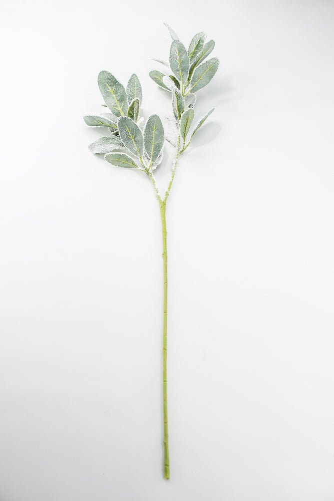 Snowy winter Lambs ear - Greenery Marketgreeneryxs548