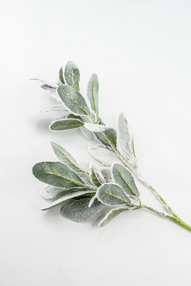 Snowy winter Lambs ear - Greenery Marketgreeneryxs548