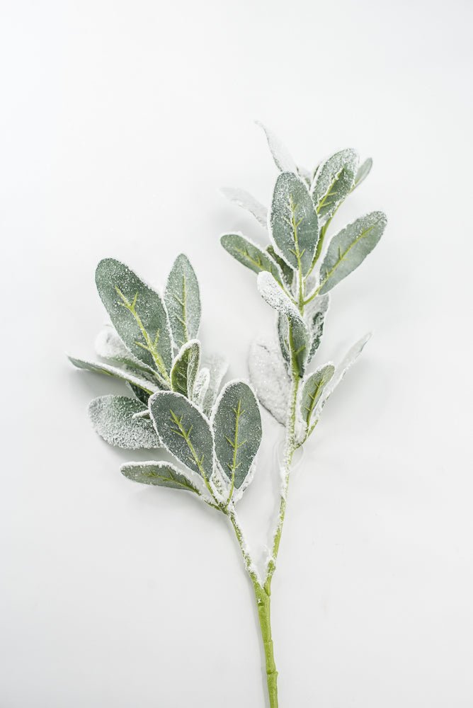 Snowy winter Lambs ear - Greenery Marketgreeneryxs548