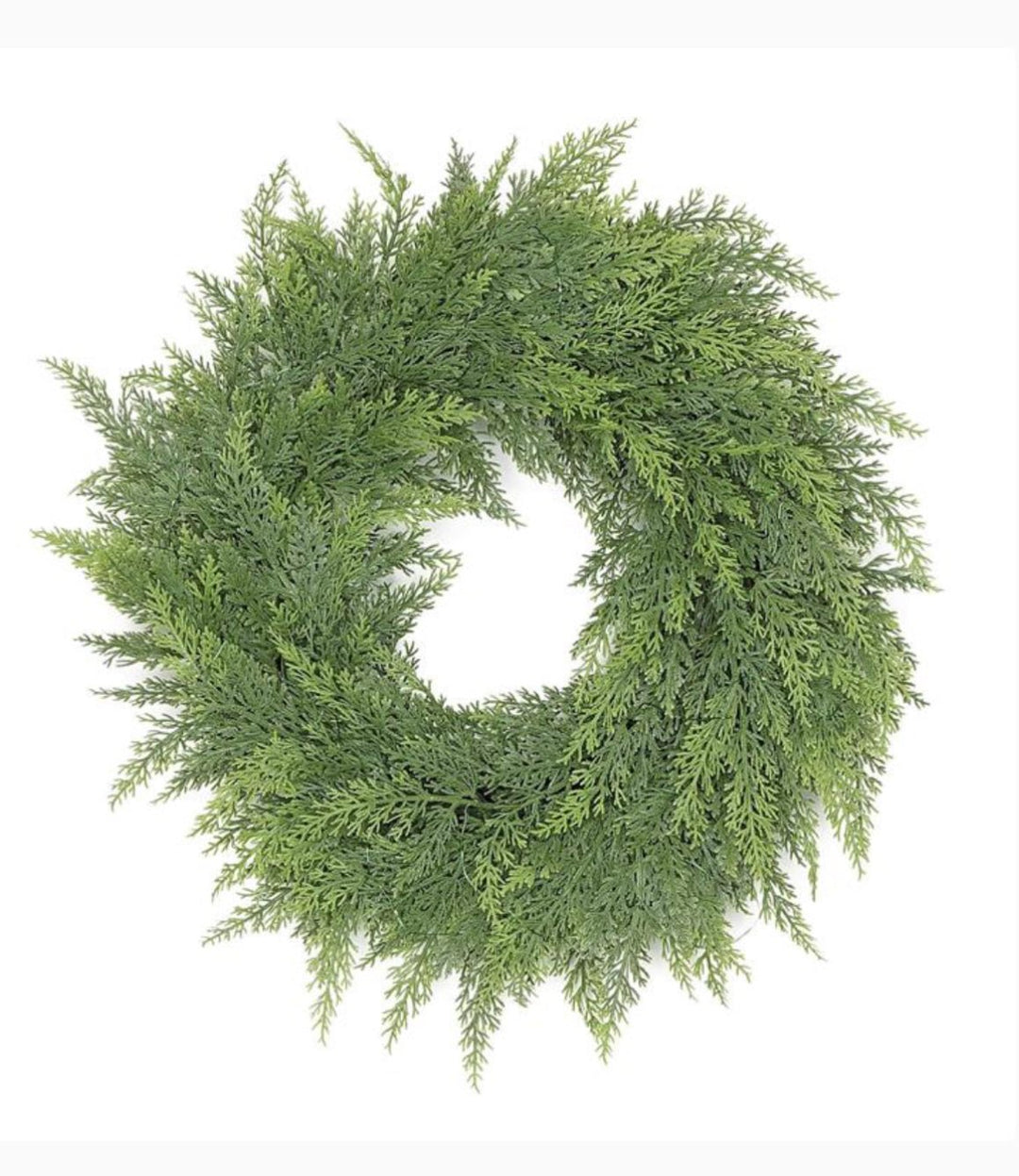 Soft cedar greenery wreath 24” - Greenery Marketwreath base & containersX1935/24