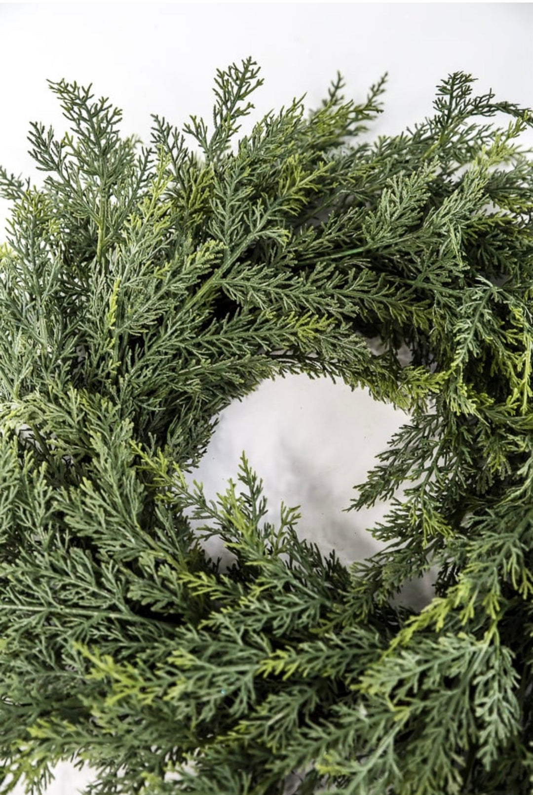 Soft cedar greenery wreath 24” - Greenery Marketwreath base & containersX1935/24