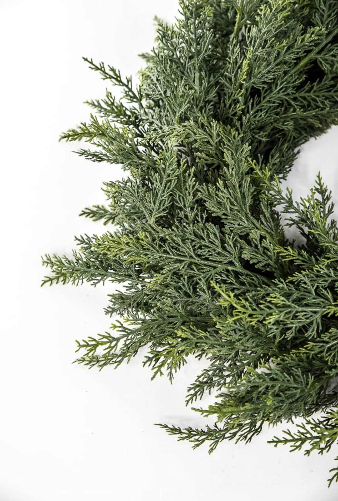 Soft cedar greenery wreath 24” - Greenery Marketwreath base & containersX1935/24