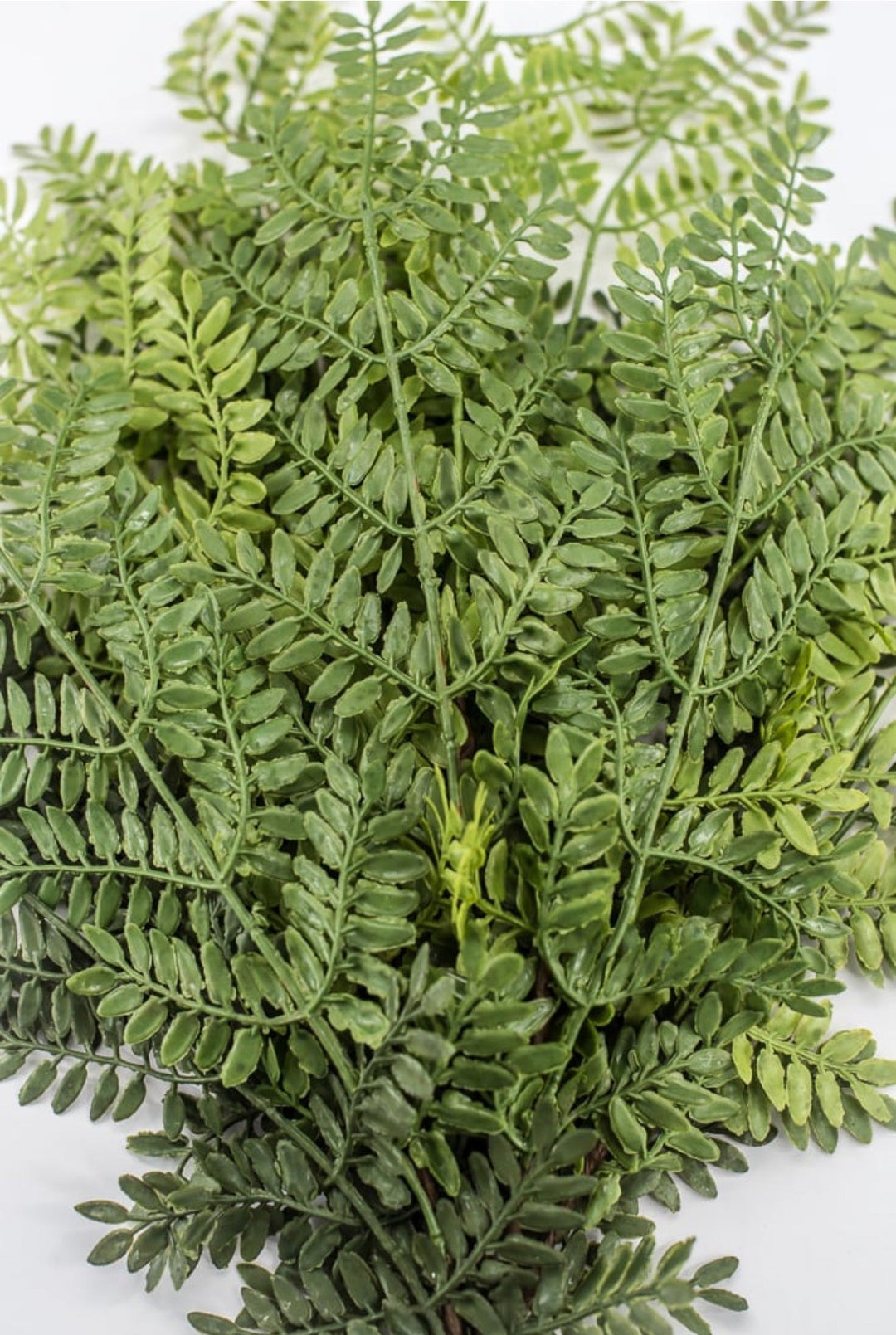 Soft Touch Alps Fern Bush - 21" - Greenery Market85541-UV