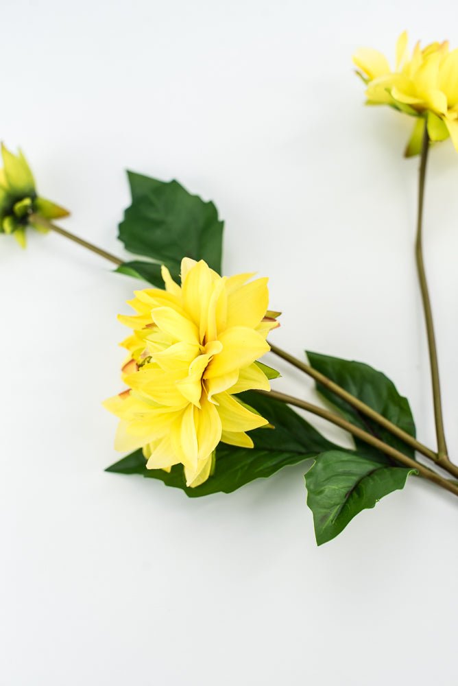 Soft touch dahlia yellow - Greenery Market2225045YL