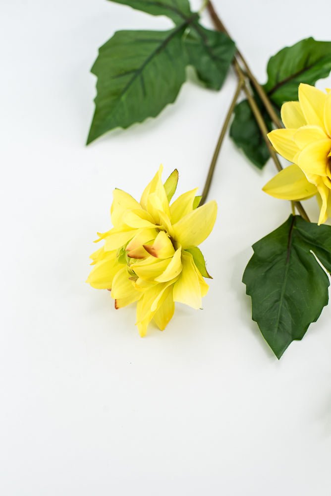 Soft touch dahlia yellow - Greenery Market2225045YL