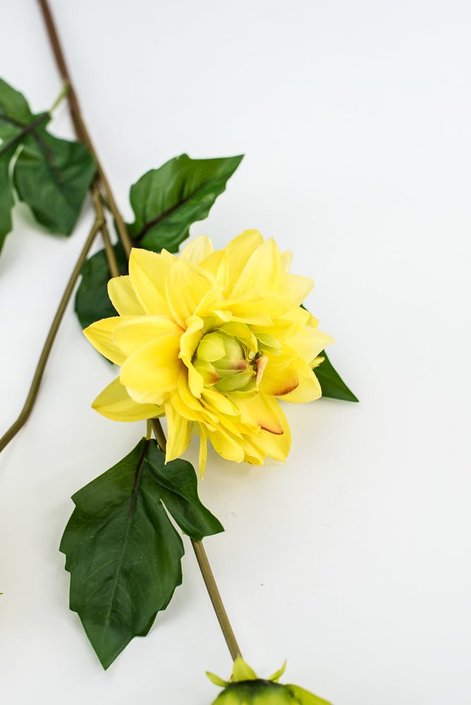 Soft touch dahlia yellow - Greenery Market2225045YL