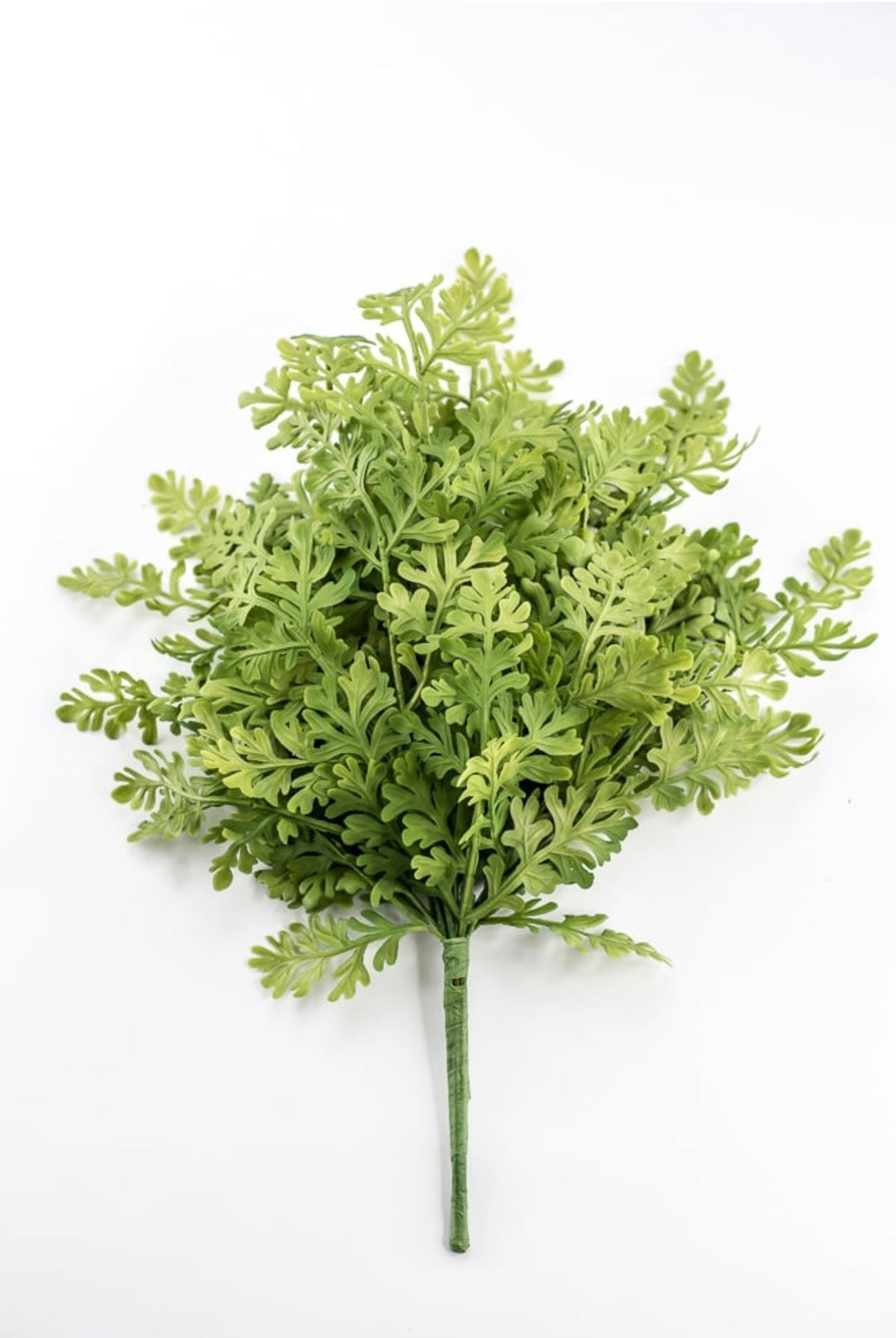 Soft Touch Fern Bush - 23" - Greenery MarketArtificial Flowers85575