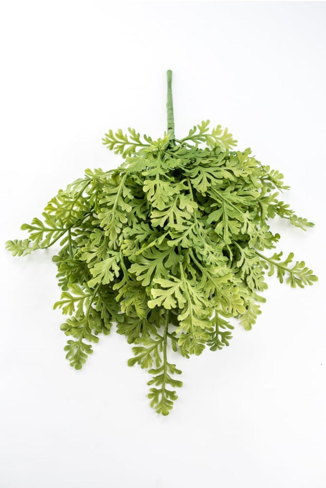 Soft Touch Fern Bush - 23" - Greenery MarketArtificial Flowers85575