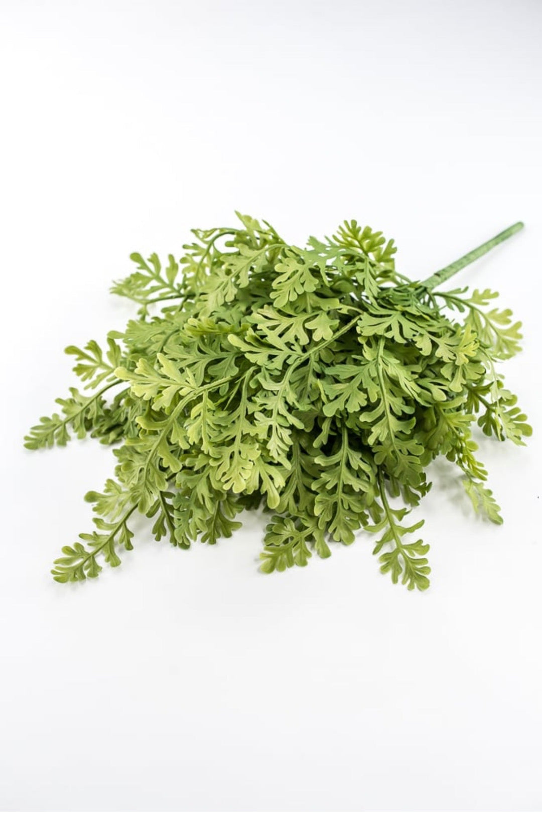 Soft Touch Fern Bush - 23" - Greenery MarketArtificial Flowers85575