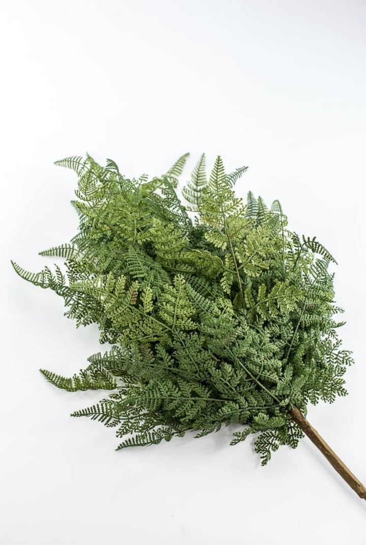 Soft Touch Fern Bush - 34" - Greenery MarketArtificial Flowers85578