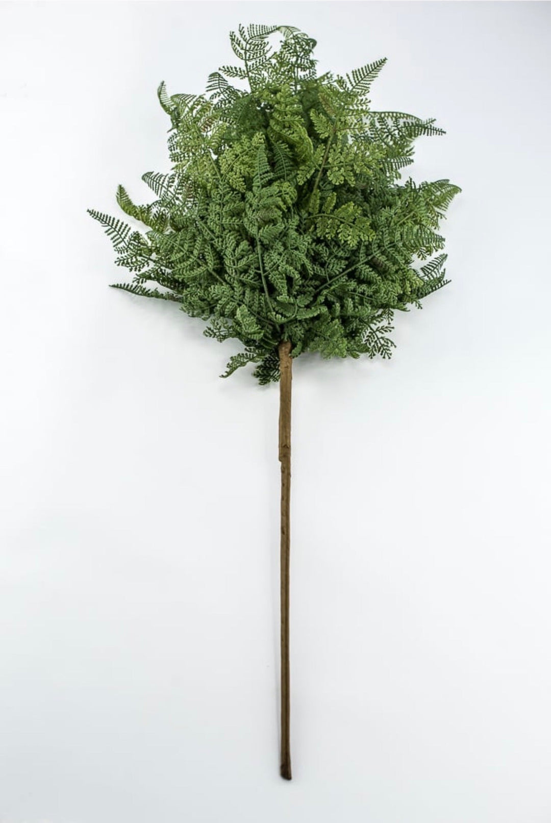 Soft Touch Fern Bush - 34" - Greenery MarketArtificial Flowers85578