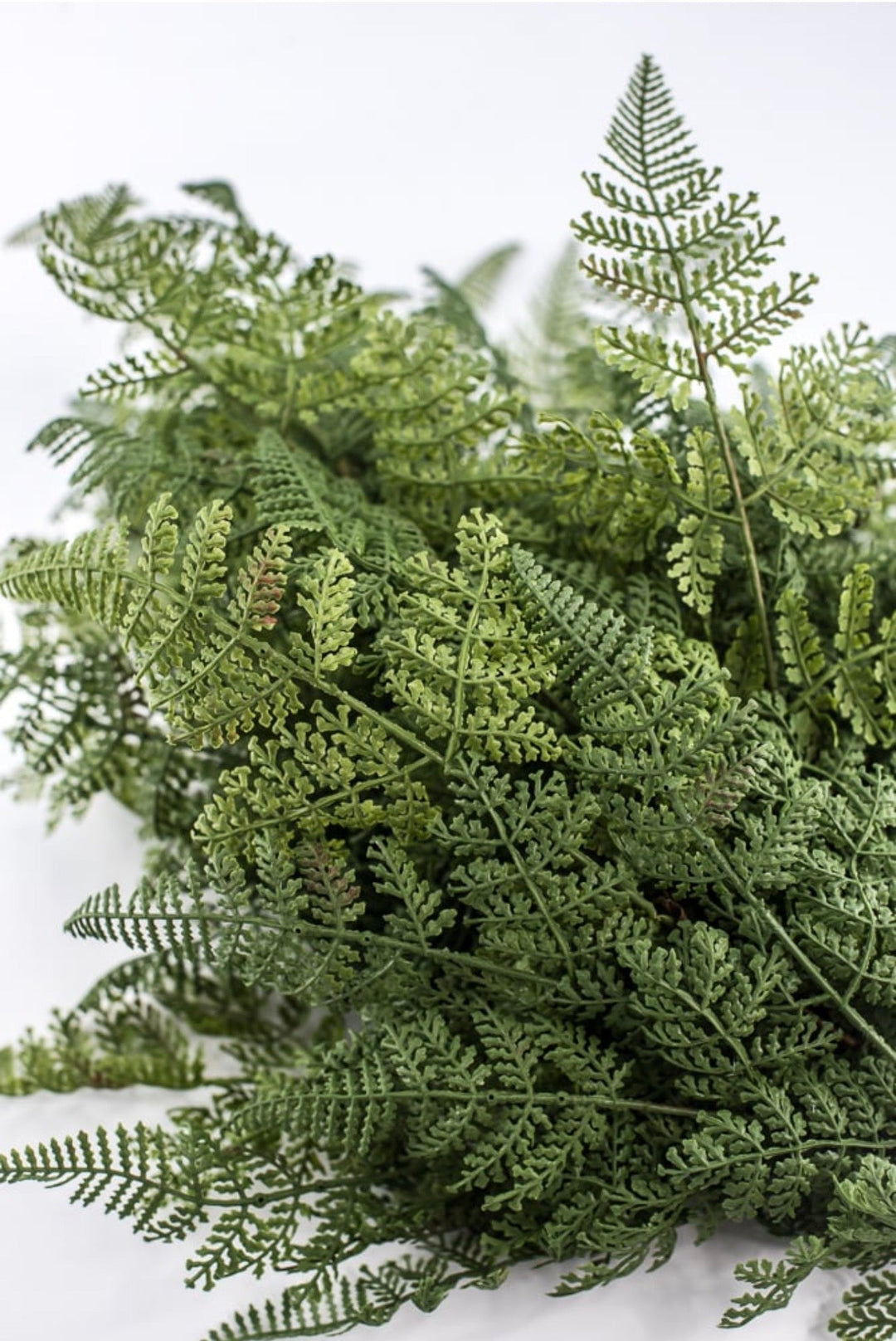 Soft Touch Fern Bush - 34" - Greenery MarketArtificial Flowers85578