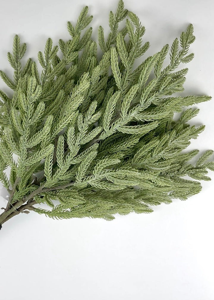 Soft touch Norfolk fir bundle - gray green - Greenery Market27926