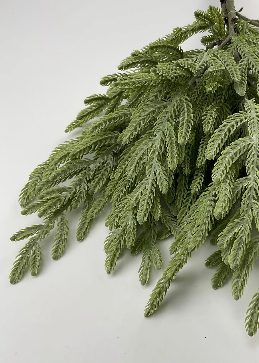 Soft touch Norfolk fir bundle - gray green - Greenery Market27926