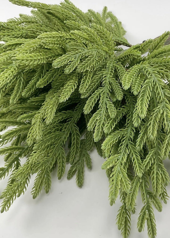 Soft touch Norfolk fir bundle - green - Greenery Market27919