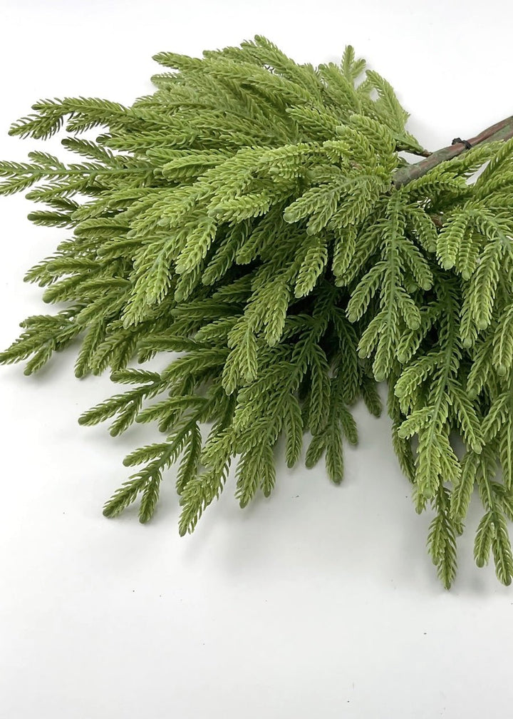 Soft touch Norfolk fir bundle - green - Greenery Market27919