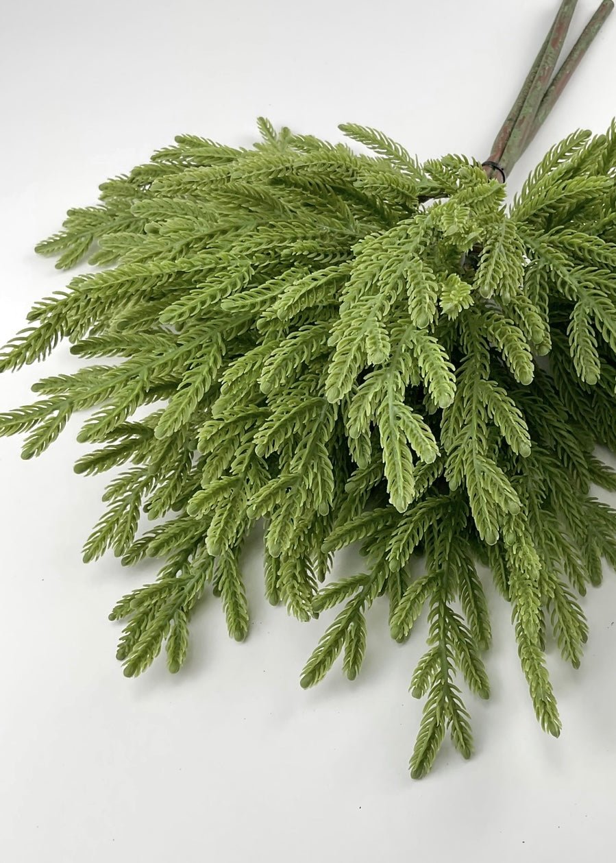 Soft touch Norfolk fir bundle - green - Greenery Market27919