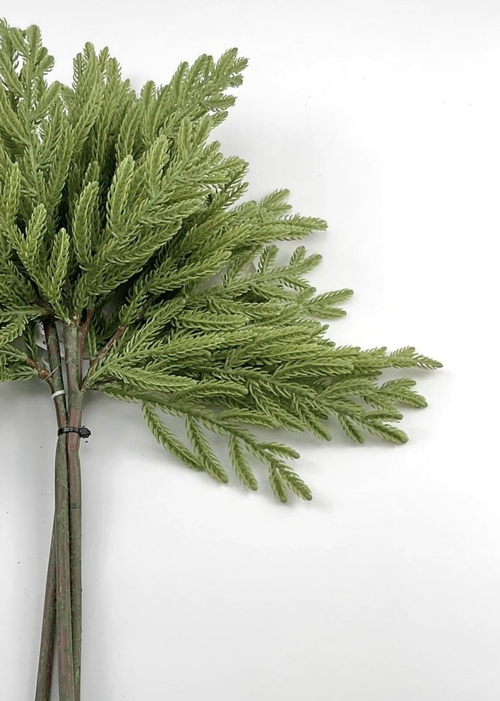 Soft touch Norfolk fir bundle - green - Greenery Market27919