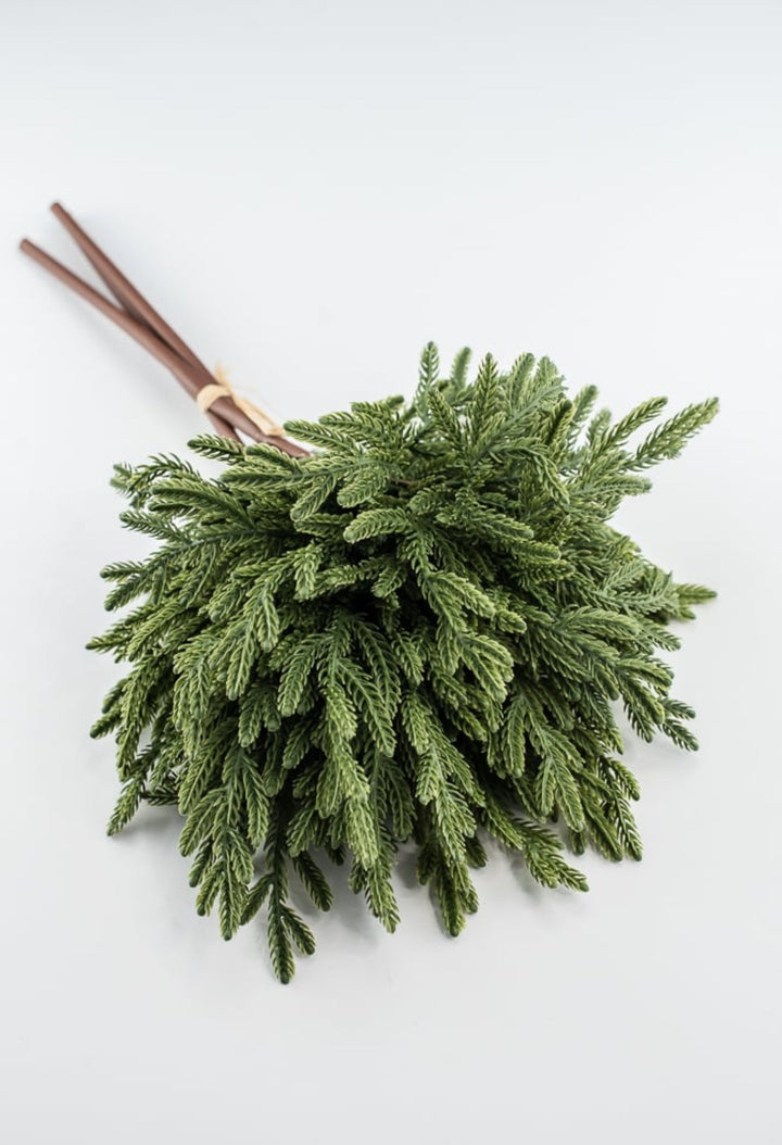 Soft touch Norfolk pine bundle - dark green - Greenery Market2825252DG
