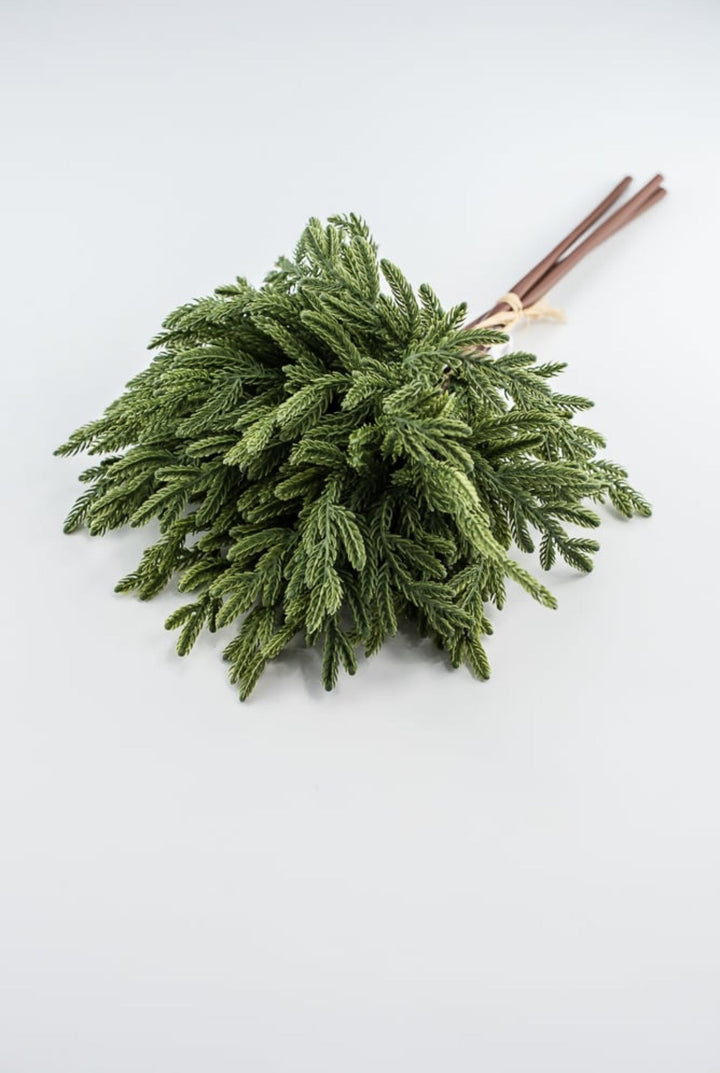 Soft touch Norfolk pine bundle - dark green - Greenery Market2825252DG