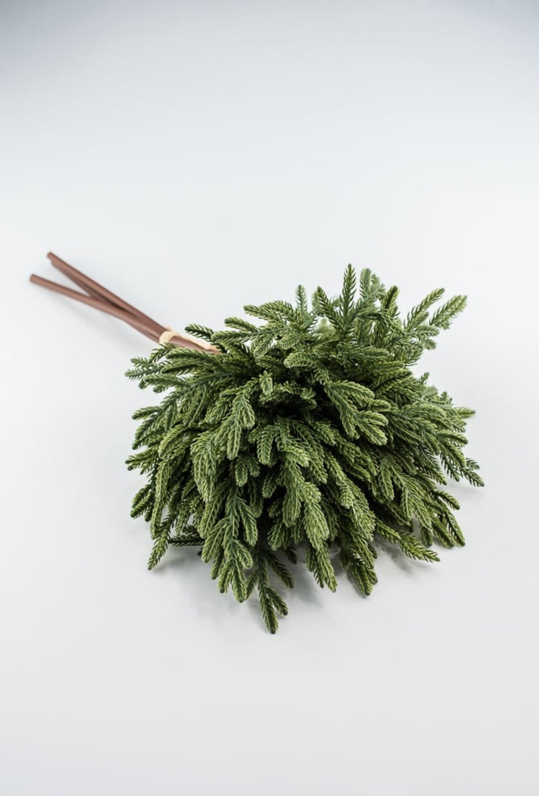 Soft touch Norfolk pine bundle - dark green - Greenery Market2825252DG