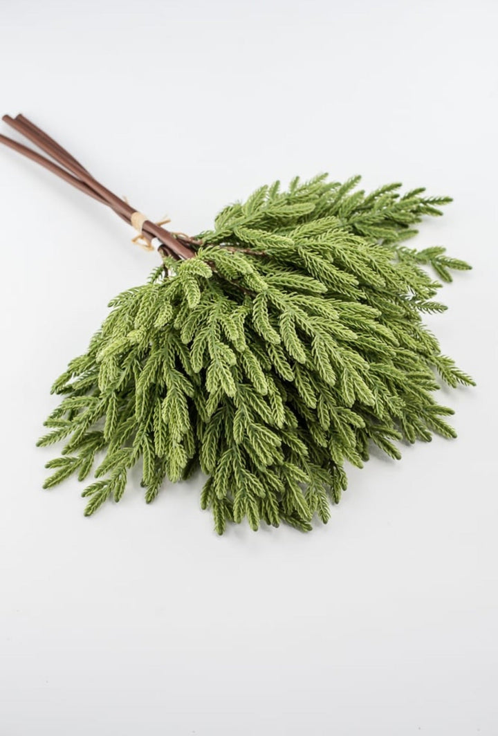 Soft touch Norfolk pine bundle - Greenery Market2825252GR